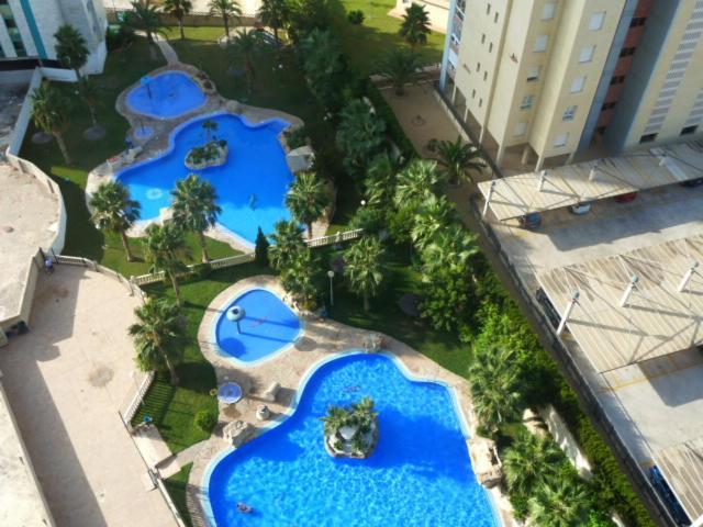 Apartment Confrades *